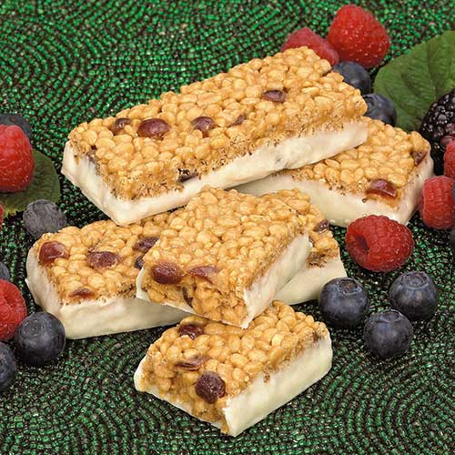 New Direction 15g Protein Bars